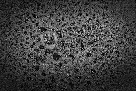 2026_04_17_901770