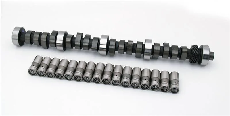 dhrje202if1